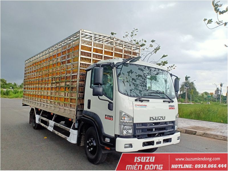 xe tải isuzu frr 650 6 tấn thùng chở gia cầm